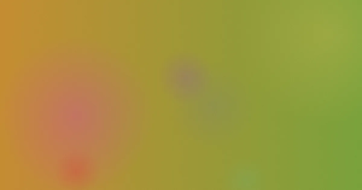 一级黄片免费看是什么：说清楚